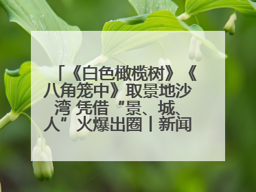 《白色橄榄树》《八角笼中》取景地沙湾 凭借“景、城、人”火爆出圈丨新闻发布最前线