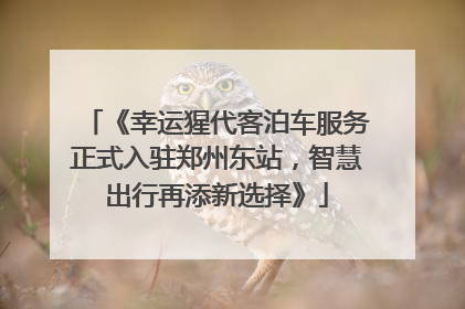 《幸运猩代客泊车服务正式入驻郑州东站，智慧出行再添新选择》