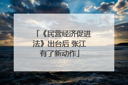 《民营经济促进法》出台后 张江有了新动作