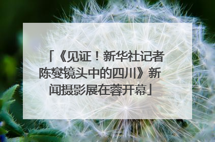 《见证！新华社记者陈燮镜头中的四川》新闻摄影展在蓉开幕
