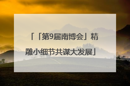 「第9届南博会」精雕小细节共谋大发展