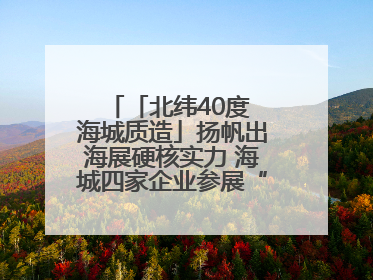 「北纬40度 海城质造」扬帆出海展硬核实力 海城四家企业参展“中东欧”展览会