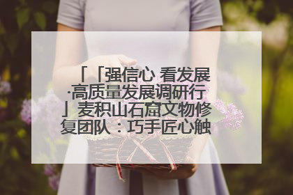 「强信心 看发展·高质量发展调研行」麦积山石窟文物修复团队：巧手匠心触摸“光阴的故事”