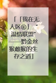 「我在无人区⑧」“温情联盟”——黔金丝猴雌猴的生存之道