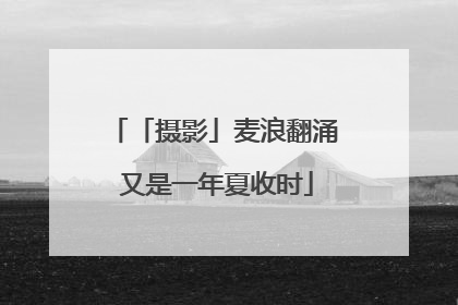 「摄影」麦浪翻涌 又是一年夏收时