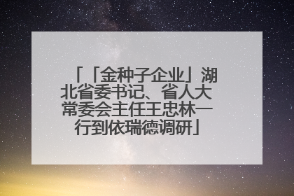 「金种子企业」湖北省委书记、省人大常委会主任王忠林一行到依瑞德调研