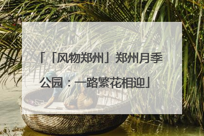 「风物郑州」郑州月季公园：一路繁花相迎