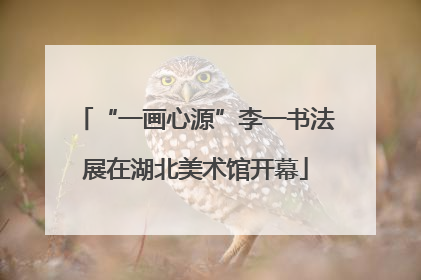 “一画心源”李一书法展在湖北美术馆开幕