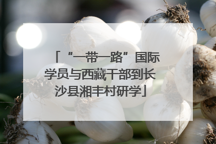 “一带一路”国际学员与西藏干部到长沙县湘丰村研学