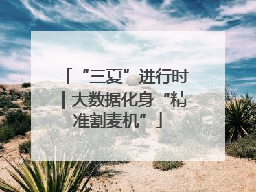 “三夏”进行时｜大数据化身“精准割麦机”