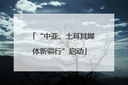 “中亚、土耳其媒体新疆行”启动