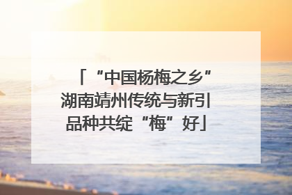 “中国杨梅之乡”湖南靖州传统与新引品种共绽“梅”好
