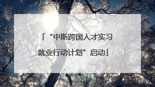 “中斯跨国人才实习就业行动计划”启动