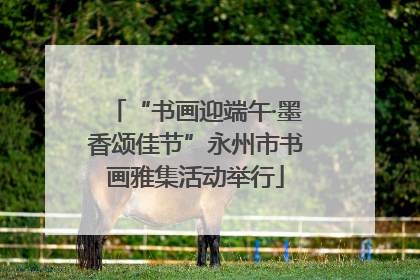 “书画迎端午·墨香颂佳节”永州市书画雅集活动举行
