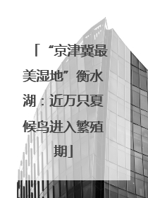 “京津冀最美湿地”衡水湖：近万只夏候鸟进入繁殖期