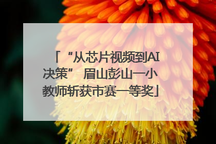 “从芯片视频到AI决策” 眉山彭山一小教师斩获市赛一等奖