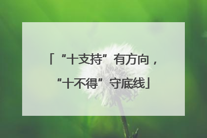 “十支持”有方向，“十不得”守底线