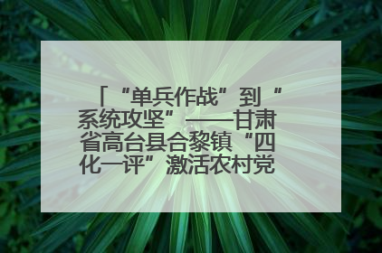 “单兵作战”到“系统攻坚”——甘肃省高台县合黎镇“四化一评”激活农村党员管理新引擎