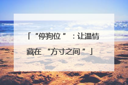 “停狗位 ”：让温情藏在 “方寸之间 ”