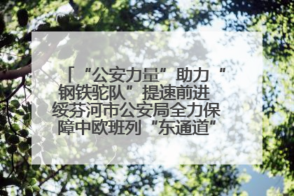 “公安力量”助力“钢铁驼队”提速前进 绥芬河市公安局全力保障中欧班列“东通道”绥芬河隧道贯通