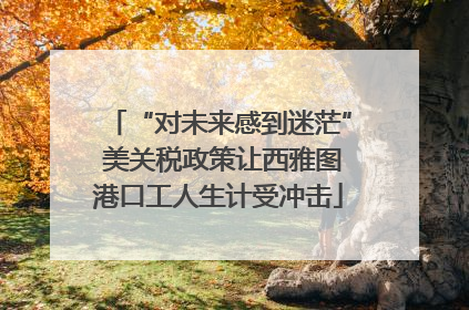 “对未来感到迷茫” 美关税政策让西雅图港口工人生计受冲击