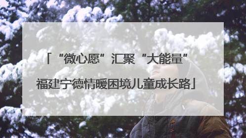 “微心愿”汇聚“大能量” 福建宁德情暖困境儿童成长路