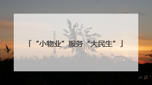 “小物业”服务“大民生”