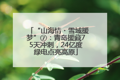 “山海情・雪域援梦”⑦：青岛援藏75天冲刺，24亿度绿电点亮高原