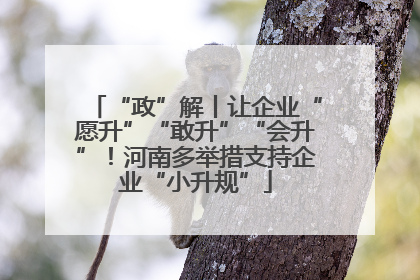 “政”解丨让企业“愿升”“敢升”“会升”！河南多举措支持企业“小升规”
