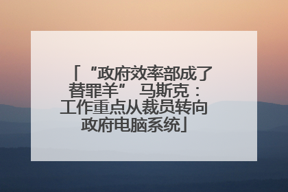 “政府效率部成了替罪羊” 马斯克：工作重点从裁员转向政府电脑系统