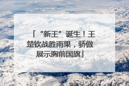 “新王”诞生！王楚钦战胜雨果，骄傲展示胸前国旗
