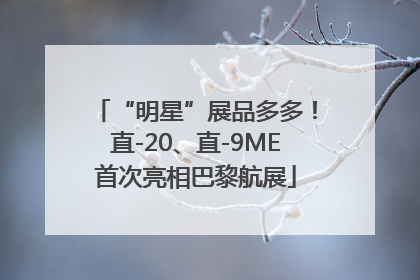 “明星”展品多多！直-20、直-9ME首次亮相巴黎航展
