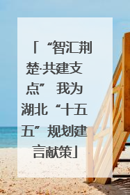 “智汇荆楚·共建支点” 我为湖北“十五五”规划建言献策