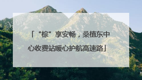 “棕”享安畅，桑植东中心收费站暖心护航高速路