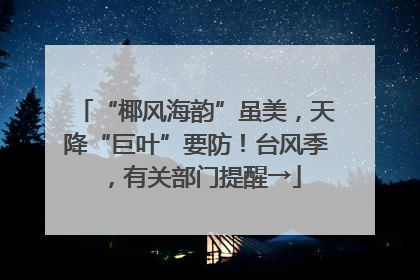 “椰风海韵”虽美，天降“巨叶”要防！台风季，有关部门提醒→