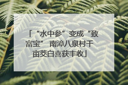 “水中参”变成“致富宝” 南漳八泉村千亩茭白喜获丰收