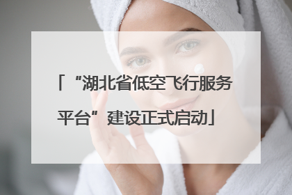 “湖北省低空飞行服务平台”建设正式启动