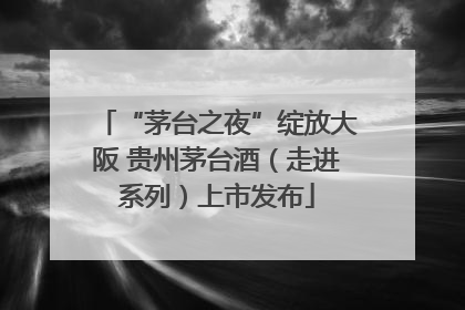 “茅台之夜”绽放大阪 贵州茅台酒（走进系列）上市发布