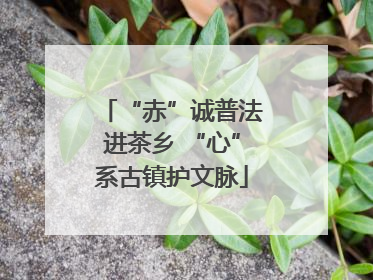 “赤”诚普法进茶乡 “心”系古镇护文脉