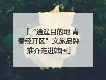 “逍遥目的地 青春经开区”文旅品牌推介走进韩国