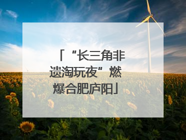 “长三角非遗淘玩夜”燃爆合肥庐阳