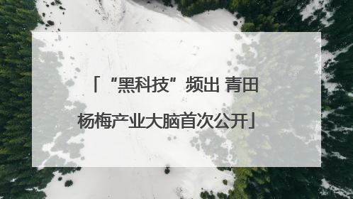 “黑科技”频出 青田杨梅产业大脑首次公开