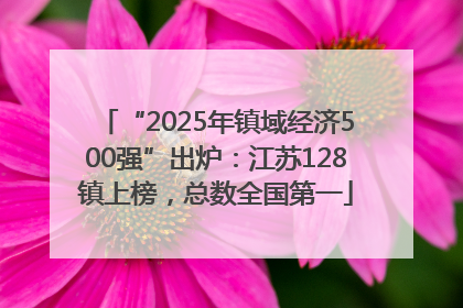 “2025年镇域经济500强”出炉：江苏128镇上榜，总数全国第一