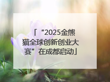 “2025金熊猫全球创新创业大赛”在成都启动