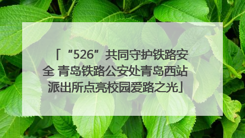 “526”共同守护铁路安全 青岛铁路公安处青岛西站派出所点亮校园爱路之光