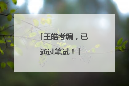 王皓考编，已通过笔试！
