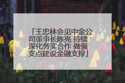 王忠林会见中金公司董事长陈亮 持续深化务实合作 做强支点建设金融支撑