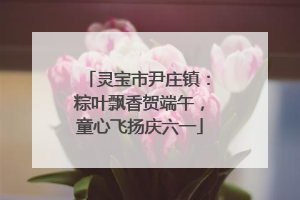 灵宝市尹庄镇：粽叶飘香贺端午，童心飞扬庆六一