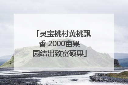 灵宝桃村黄桃飘香 2000亩果园结出致富硕果