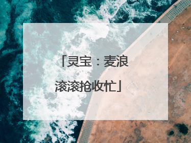 灵宝：麦浪滚滚抢收忙